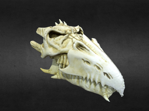 龙颅骨高分辨率3d模型