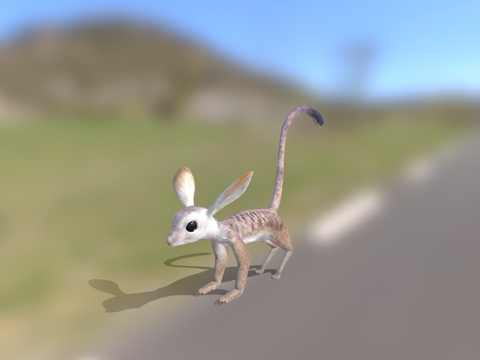  杰尔科阿3d模型 