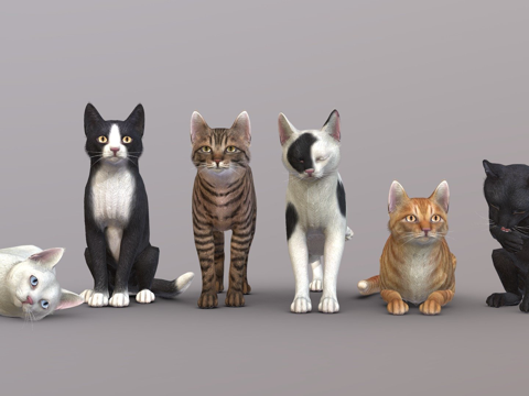 简单猫3d模型
