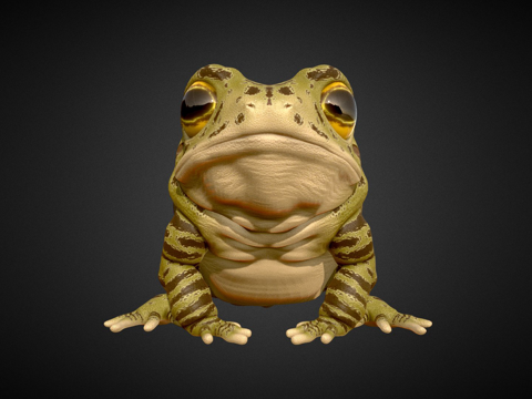  蟾蜍3d模型 