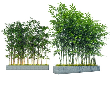 现代竹子 景观竹子 仿真竹子 园艺竹子su模型