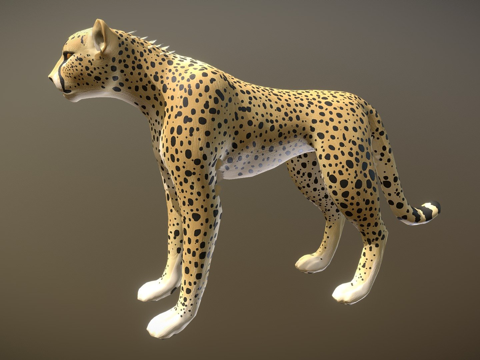  猎豹3d模型 