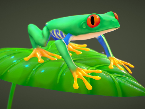  红眼树蛙3d模型 