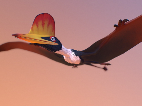  达尔文翼龙3d模型 