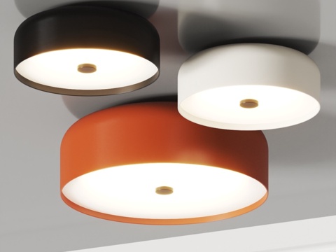  眩晕鸟形Kat吊灯3d模型 