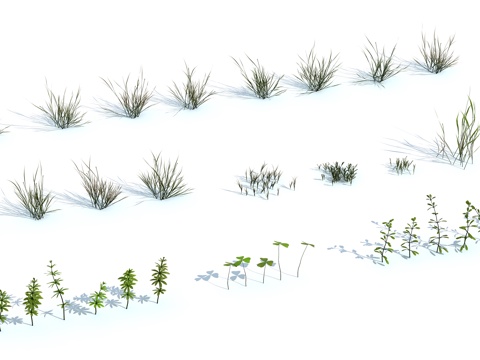  草 茅草 草坪 花卉 灌木3d模型 