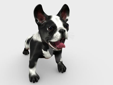  法国斗牛犬我的ZBrush3d模型 