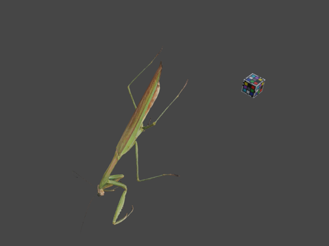  CC0大螳螂中华大刀螳3d模型 