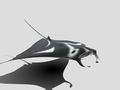  动画蝠鲼3d模型 