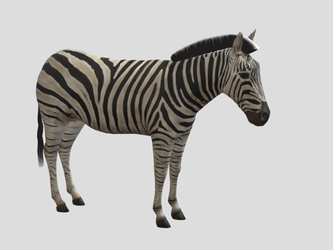  斑马3d模型 