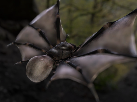  飞行狒狒3d模型 