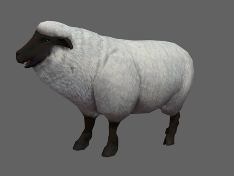  休闲绵羊3d模型 