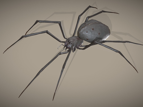  蜘蛛怪物带动画3d模型 