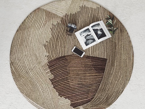  现代地毯 布艺地毯 圆形地毯 客厅地毯 卧室地毯3d模型 