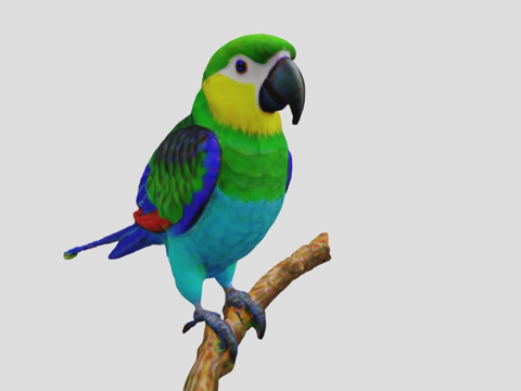  鹦鹉3d模型 
