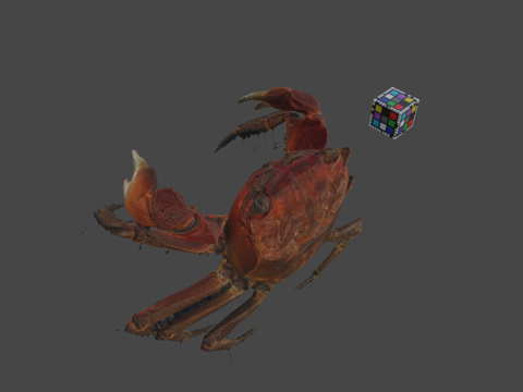  CC0 弁庆蟹   中间相手蟹3d模型 