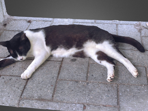  猫咪娜娜3d模型 