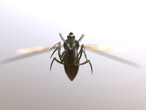  隐形黄蜂3d模型 