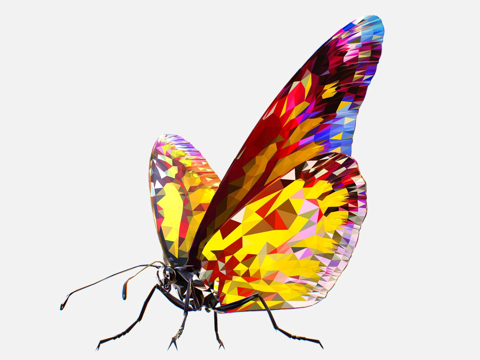  黄蝶低多边形艺术昆虫3d模型 