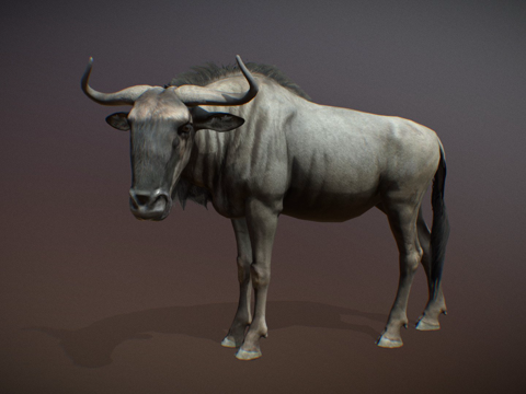  动物界蓝角马雄性3d模型 