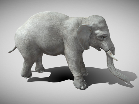  大象3d模型 