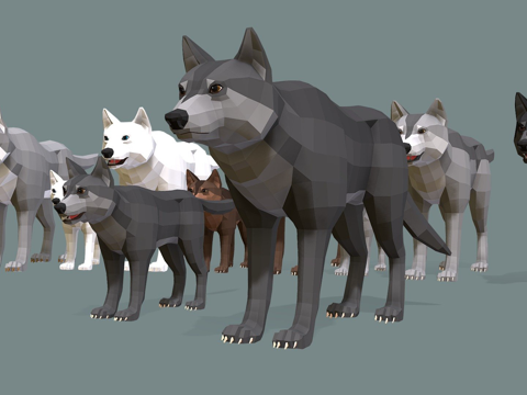  低多边形狼家族3d模型 