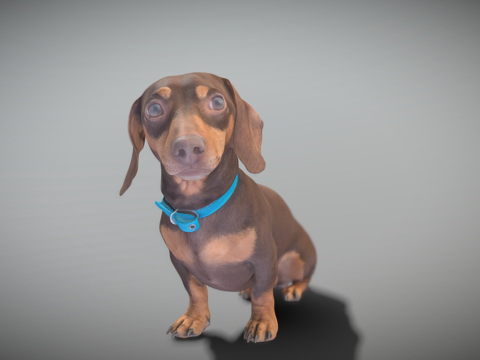  腊肠犬263d模型3d模型 