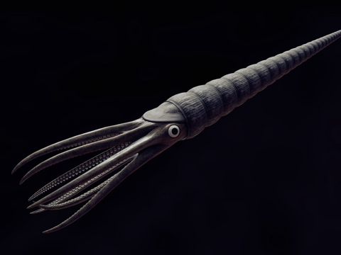  动画版房角石3d模型 