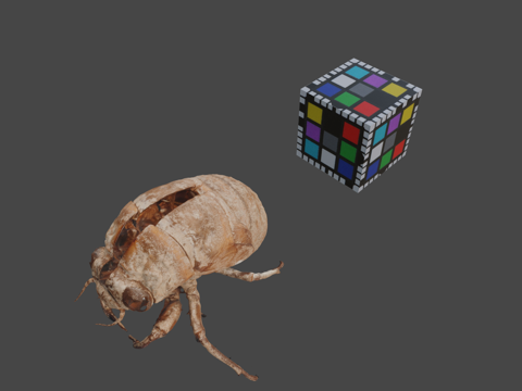  CC0寒蝉卡氏蝉3d模型 