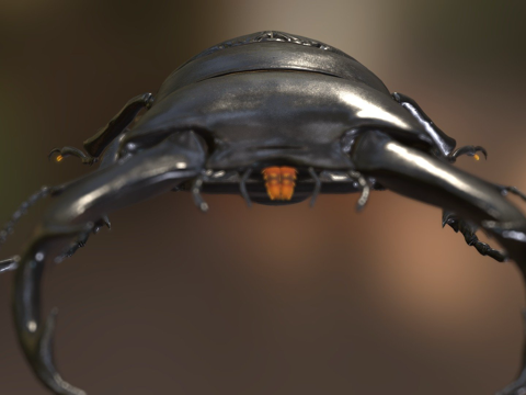  双瘤大锹甲3d模型 