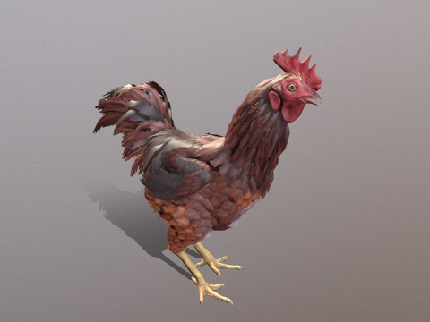  动画鸡3d模型 