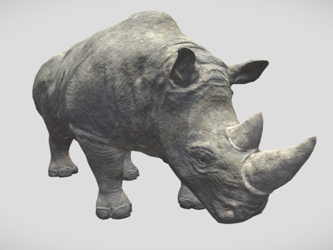  白犀牛3d模型 