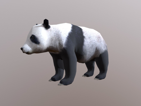  熊猫3d模型 
