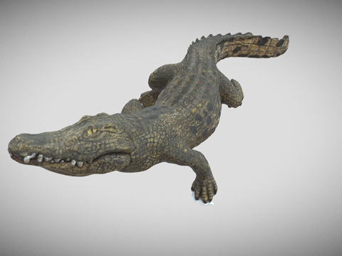  鳄鱼3d模型 