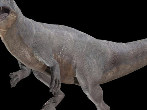  南方巨兽龙3d模型 