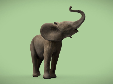  小象3d模型 