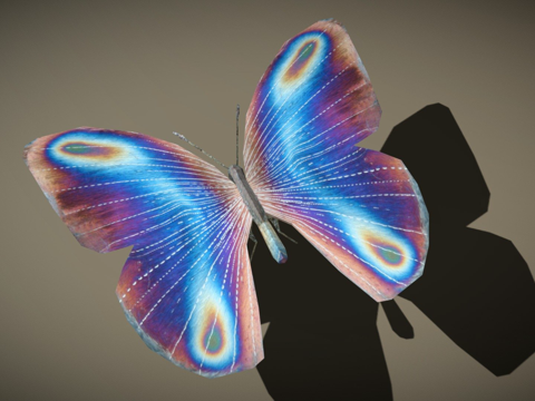  RT鸟类与小动物蝴蝶023d模型 