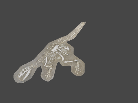  异特龙骨架3d模型 