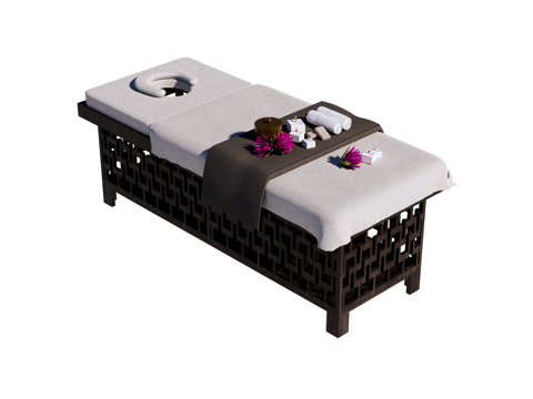 按摩床 spa床 美容床su模型