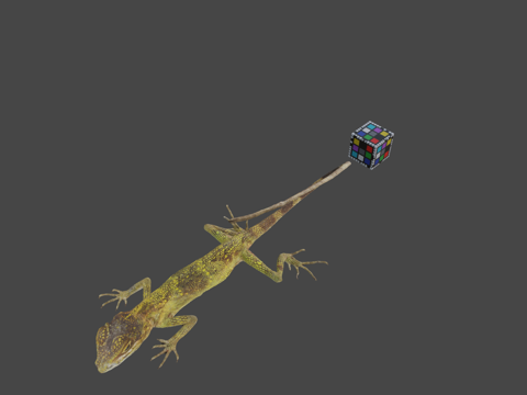  CC0先岛树蜥3d模型 