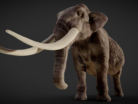  美洲乳齿象3d模型 
