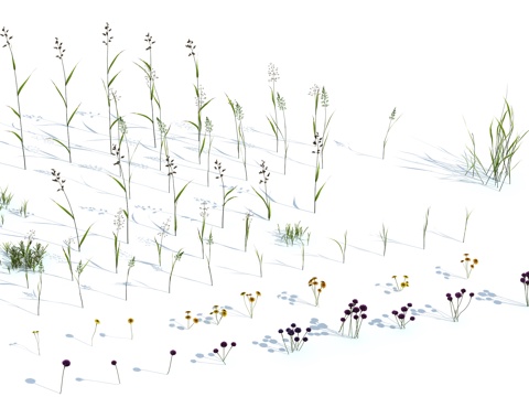  草 茅草 草坪 花卉 灌木3d模型 