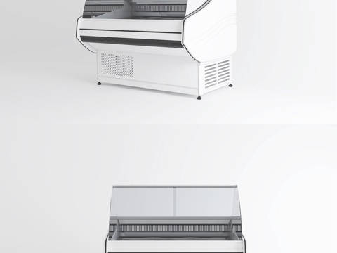  现代冰箱 冰柜 冰槽 卧式冰柜3d模型 