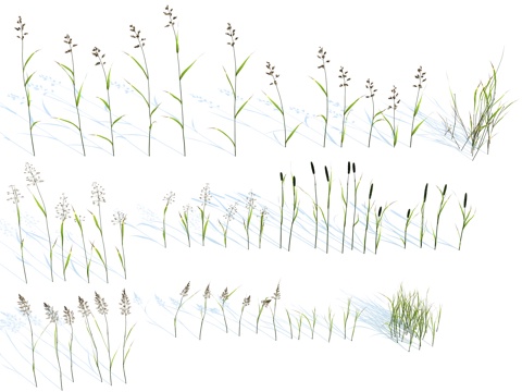  草 茅草 草坪 花卉 灌木3d模型 