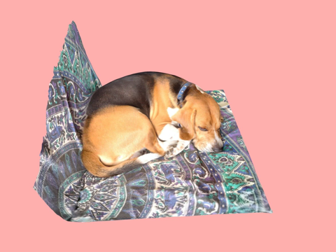  瞌睡狗LiDAR3d模型 