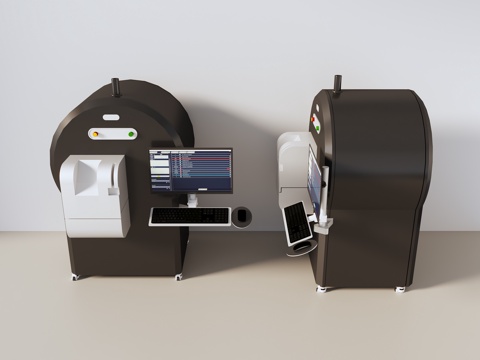  小动物CT扫描3d模型 