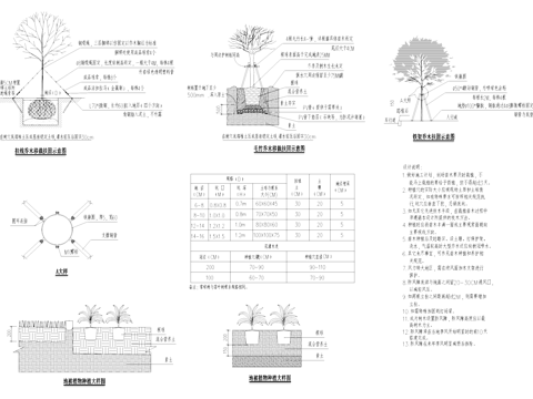植物移栽扶固种植大样详图CAD施工图cad施工图