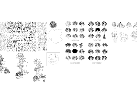 植物树木叶子老虎CAD图块图库cad施工图