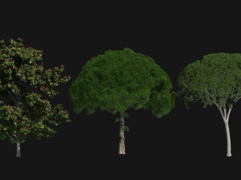  树木 植物模型3d模型 