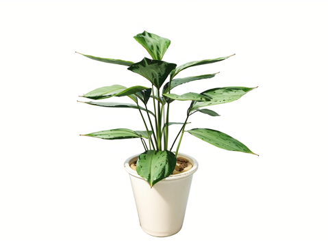  雕塑摆件家具灯具器材设备室外建筑小品su模型 